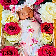 Ayla joined the competition — help win amazing prizes! baby, newborn, sleeping, flower, roses, basket, floral, headband, swaddle, pink, red, white, cute, peaceful, infant, portrait, closeup, nature, soft, adorable