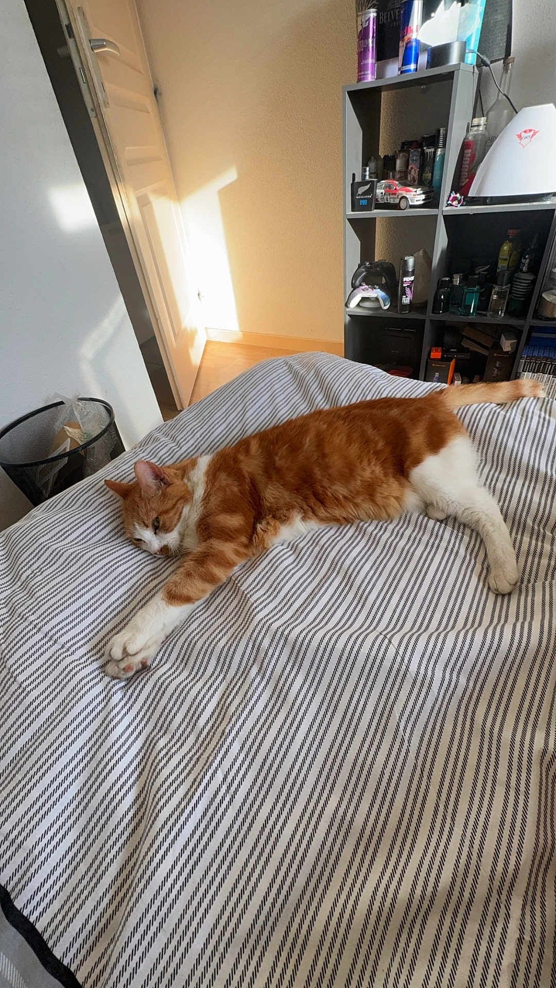 Caramel