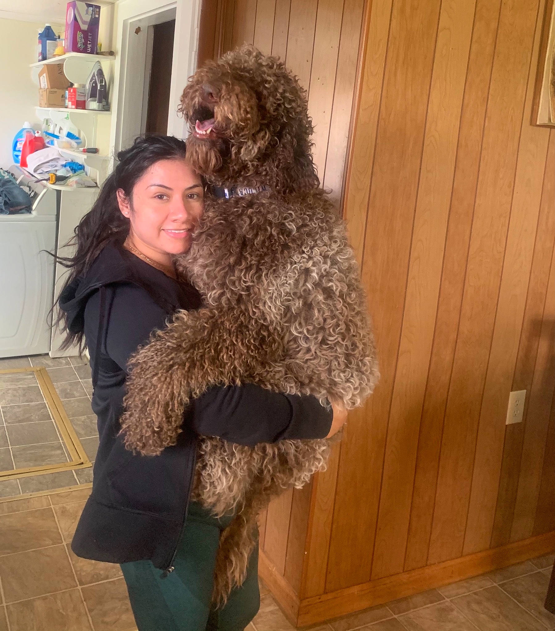 Chino joined the competition — help win amazing prizes! boot, brown_bear, event, fashion_design, fawn, flooring, fun, fur, fur_clothing, jacket, long_hair, luggage_and_bags, selfie, smile, sporting_group, stuffed_toy, textile, thigh, toy, wood