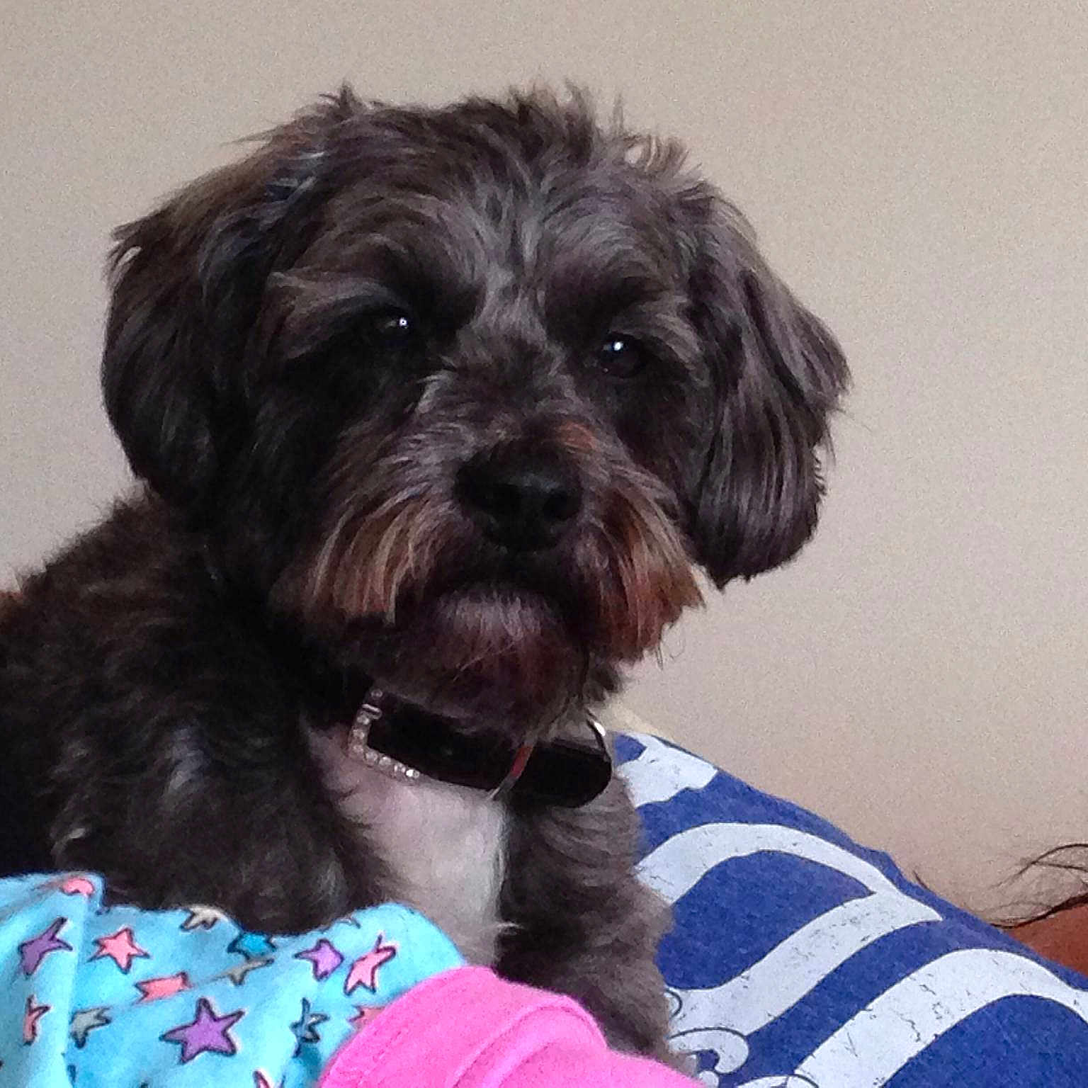 Timmy is registered to the contest to win money with this photo: