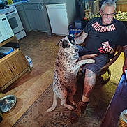 Bleu is registered to the contest to win money with this photo: dog, man, tattoo, kitchen, chair, floor, bowl, food, water, appliance, furniture, person, pet, companion, indoor, casual, sitting, interaction, relaxation, home