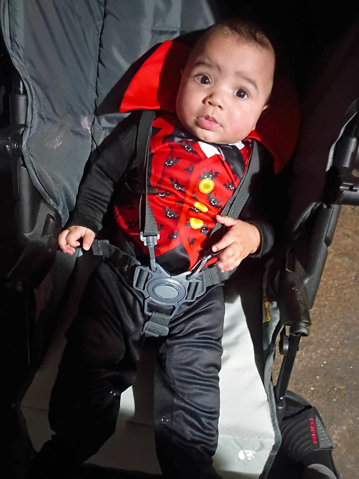 Andre is registered to the contest to win money with this photo: baby, child, stroller, costume, vampire, cape, red, black, straps, seat, wide_eyes, curious, infant, person, cute, portrait, indoors, clothing, baby_seat, expression