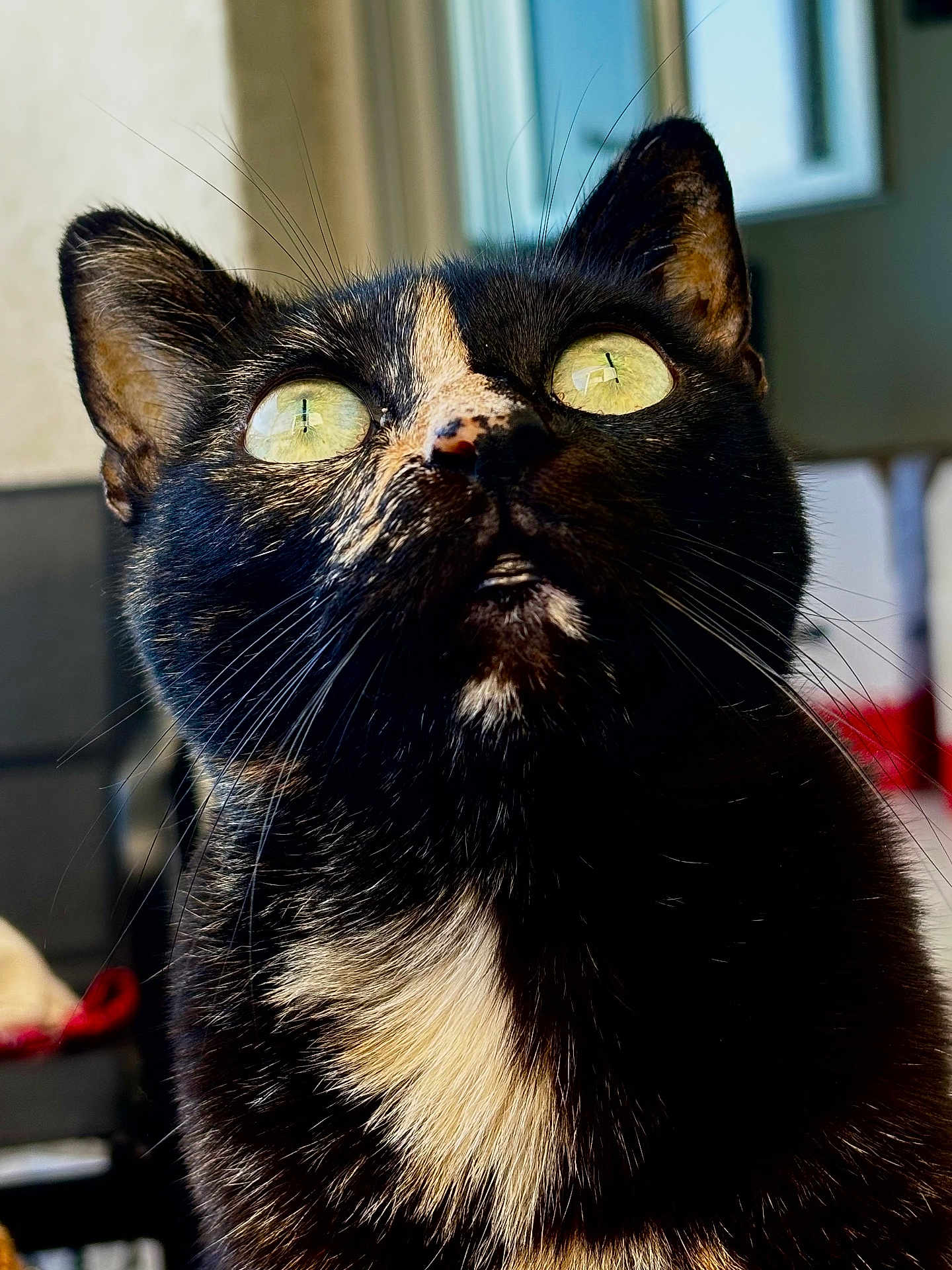 Luna