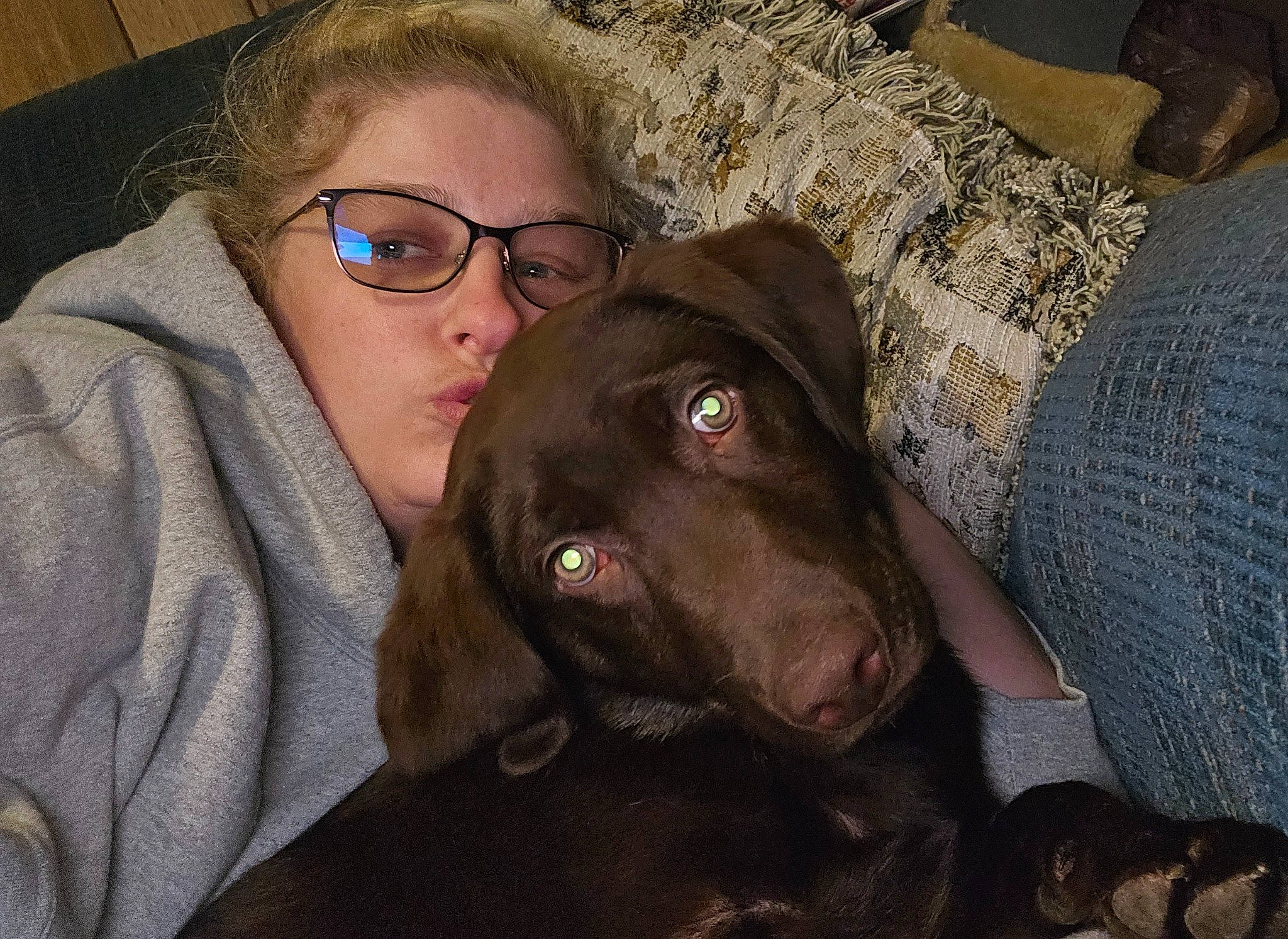 Gunner joined the competition — help win amazing prizes! borador, canidae, carnivore, comfort, companion_dog, dog, dog_breed, ear, eyewear, fawn, fun, fur, glasses, guard_dog, liver, selfie, snout, sporting_group, vision_care, working_animal