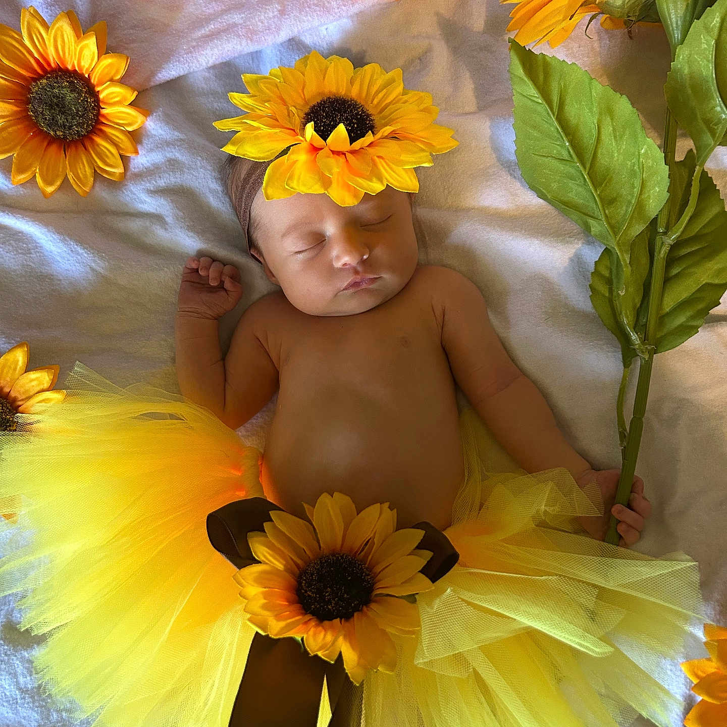 Harper is registered to the contest to win money with this photo: anemone, baby, clothing, daisy, dress, face, flower, flowerarrangement, flowerbouquet, head, herbal, herbs, leaf, newborn, person, petal, photography, plant, portrait, sunflower