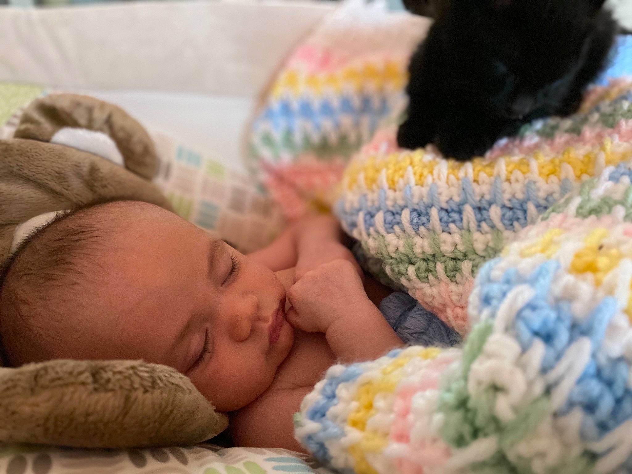 Michael Jr joined the competition — help win amazing prizes! baby, baby_sleeping, bedtime, birth, blanket, child, comfort, crochet, knitting, nap, person, room, sleep, textile, toddler, wool