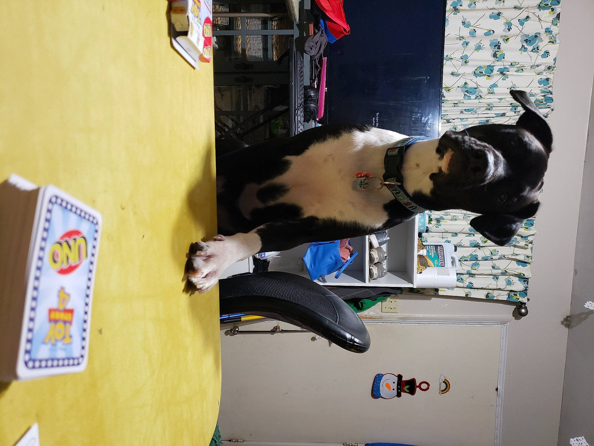 Zee joined the competition — help win amazing prizes! carmine, elbow, eyewear, fun, gesture, machine, room, shelf, t_shirt, wrist