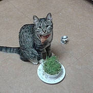 Charlie joined the competition — help win amazing prizes!