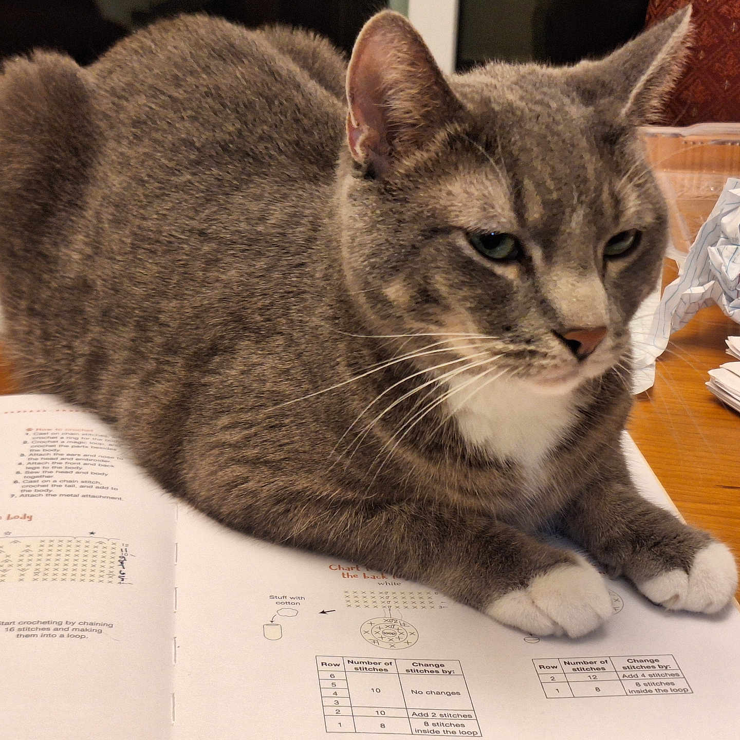 Dennis Bolter Menace