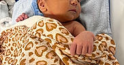 Lio participe au concours pour gagner de l'argent avec cette photo : newborn, baby, blanket, heart_pattern, towel, infant, resting, sleepy, indoors, human, skin, hand, face, cute, soft, cozy, newborn_baby, wrapped, lying_down, peaceful