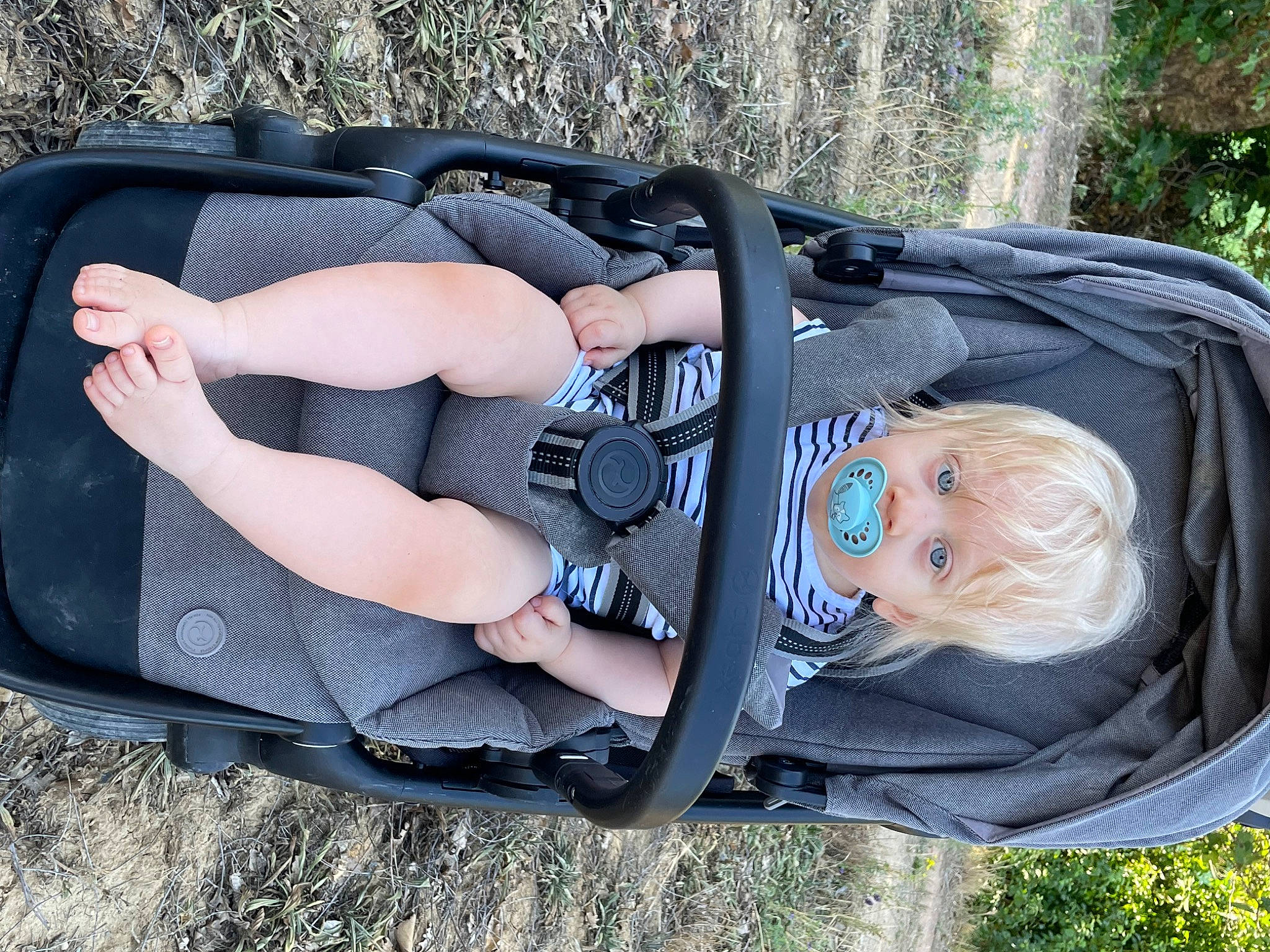 Maylone a rejoint le concours — aidez-le/la à gagner de superbes lots ! auto_part, automotive_exterior, baby_carriage, baby_products, bag, baggage, bumper, comfort, fashion_accessory, grass, leisure, luggage_and_bags, motor_vehicle, pattern, person, plant, product, recreation, toddler, tree