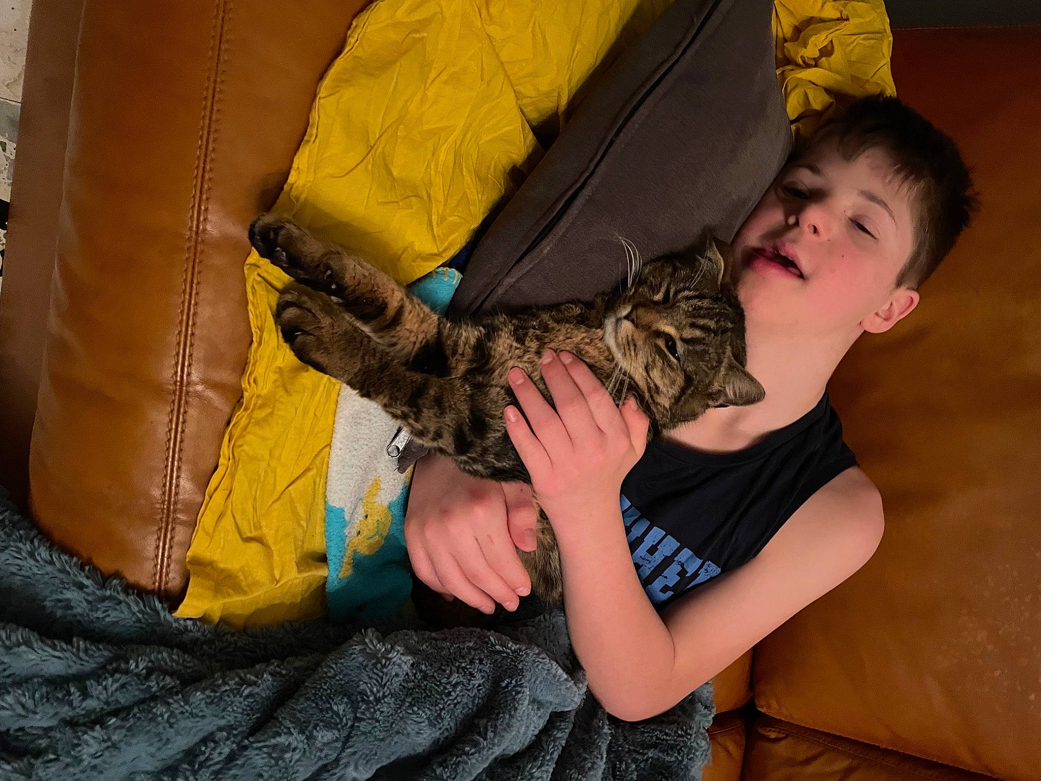 Bounty a rejoint le concours — aidez-le/la à gagner de superbes lots ! boot, child, comfort, elbow, felidae, fun, fur, human_leg, lap, leg, python, python_family, reptile, scaled_reptile, sitting, t_shirt, terrestrial_animal, thigh, toddler, wrist