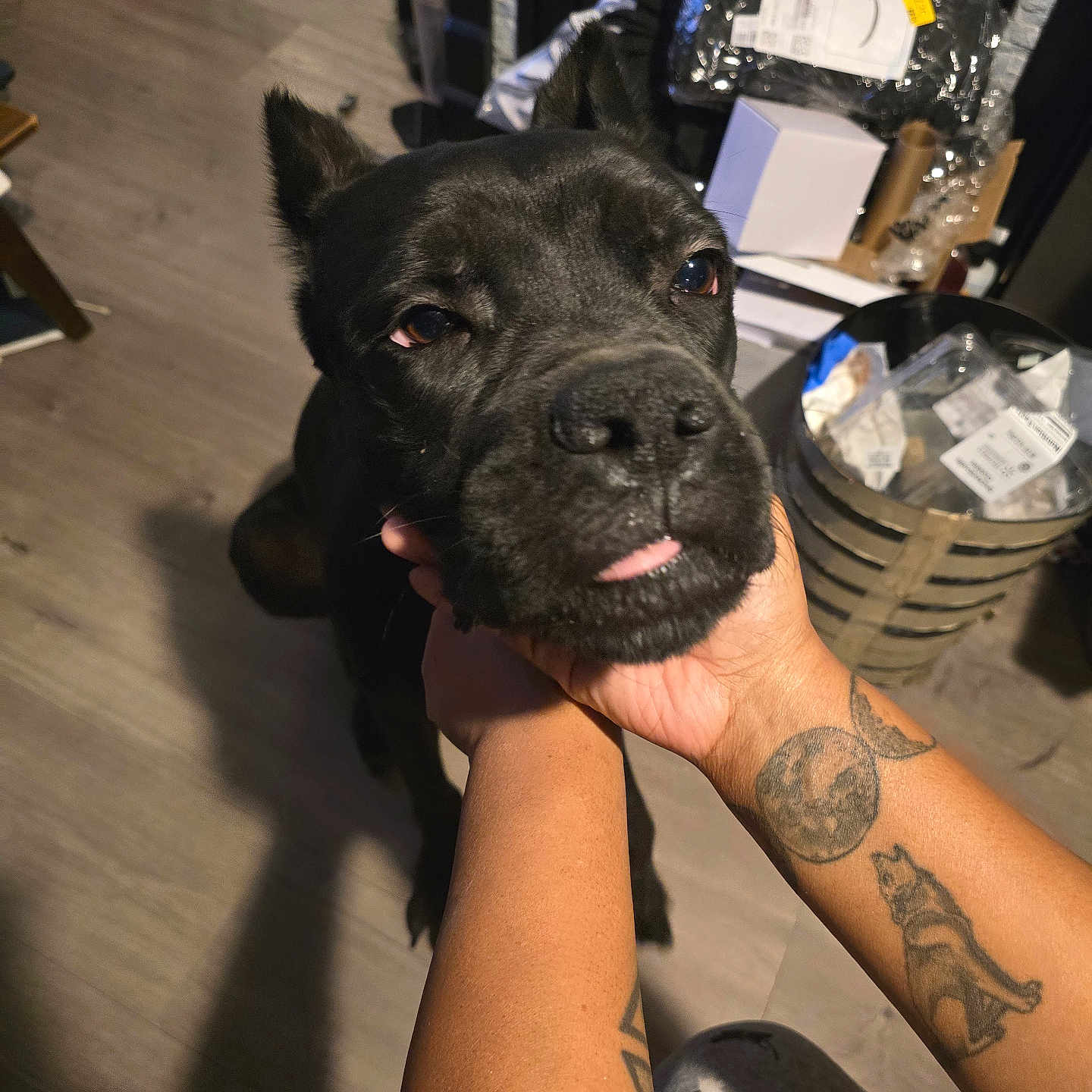 Ares