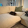 cat, tabby_cat, sofa, couch, living_room, cat_tree, pillow, curtains, blanket, carpet, furniture, indoor, pet, resting, sleeping, cozy, home, relaxation, beige, comfortable