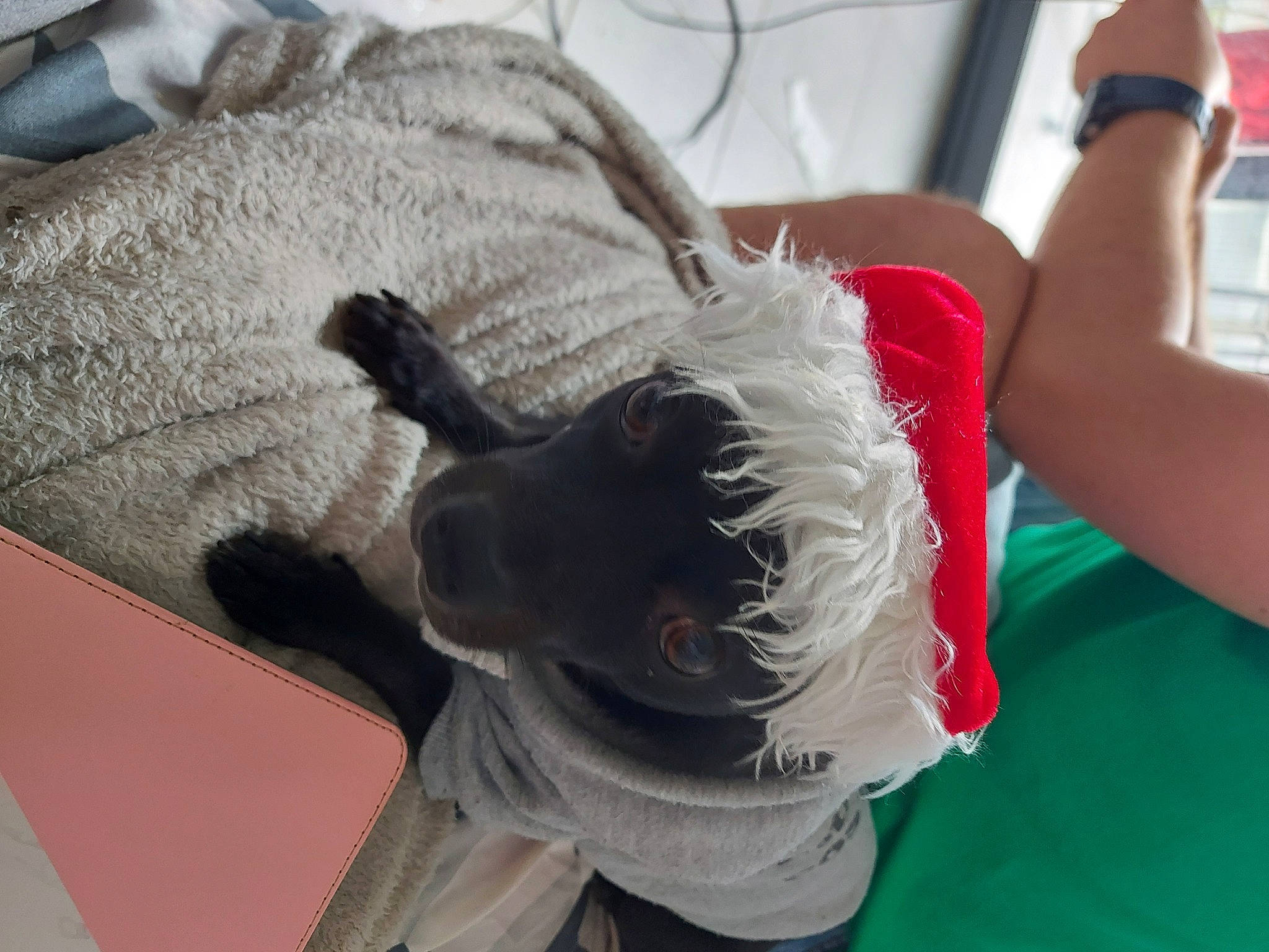 Wilo participe au concours pour gagner de l'argent avec cette photo : arm, ear, organism