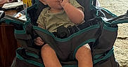 Rylan is registered to the contest to win money with this photo: baby, bare_feet, carpet, child, clothing, curious, dog, face, family_scene, finger_in_mouth, furniture, high_chair, home, indoor, infant, pet, portrait, sitting, sunlight, window