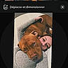 Tyron participe au concours pour gagner de l'argent avec cette photo : person, dog, brown_dog, indoor, couch, gray_sweater, hug, face, pet, cozy, affection, closeup, portrait, relaxing, technology, mobile_app, screen, text_overlay, human_animal_bond, casual