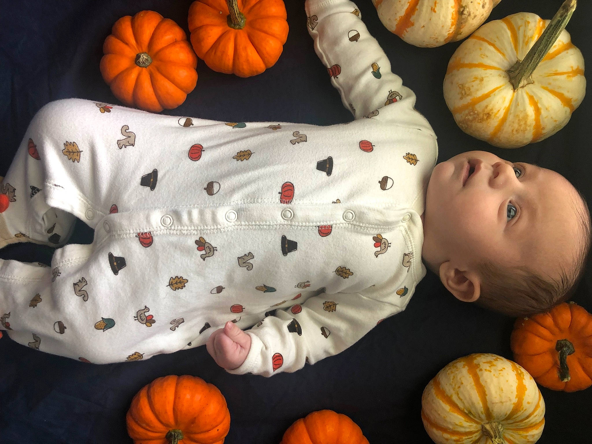 Mason joined the competition — help win amazing prizes! art, baby, black, calabaza, cucurbita, facial_expression, gourd, head, human_body, local_food, natural_foods, orange, organ, person, plant, pumpkin, squash, toddler, vegetable, winter_squash