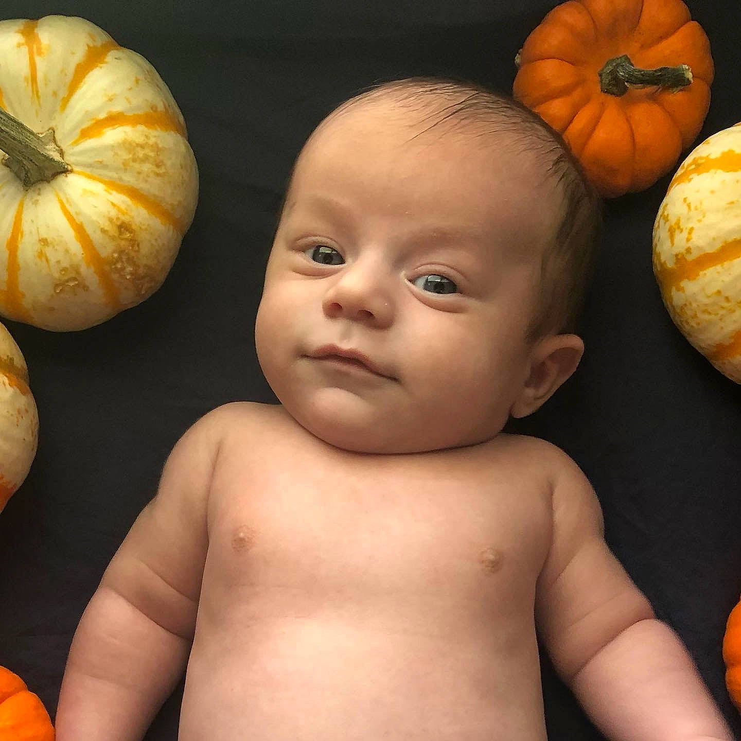 Mason is registered to the contest to win money with this photo: arm, black, calabaza, cheek, cucurbita, eye, facial_expression, food, hand, happy, head, mouth, natural_foods, nose, orange, organ, person, plant, pumpkin, smile