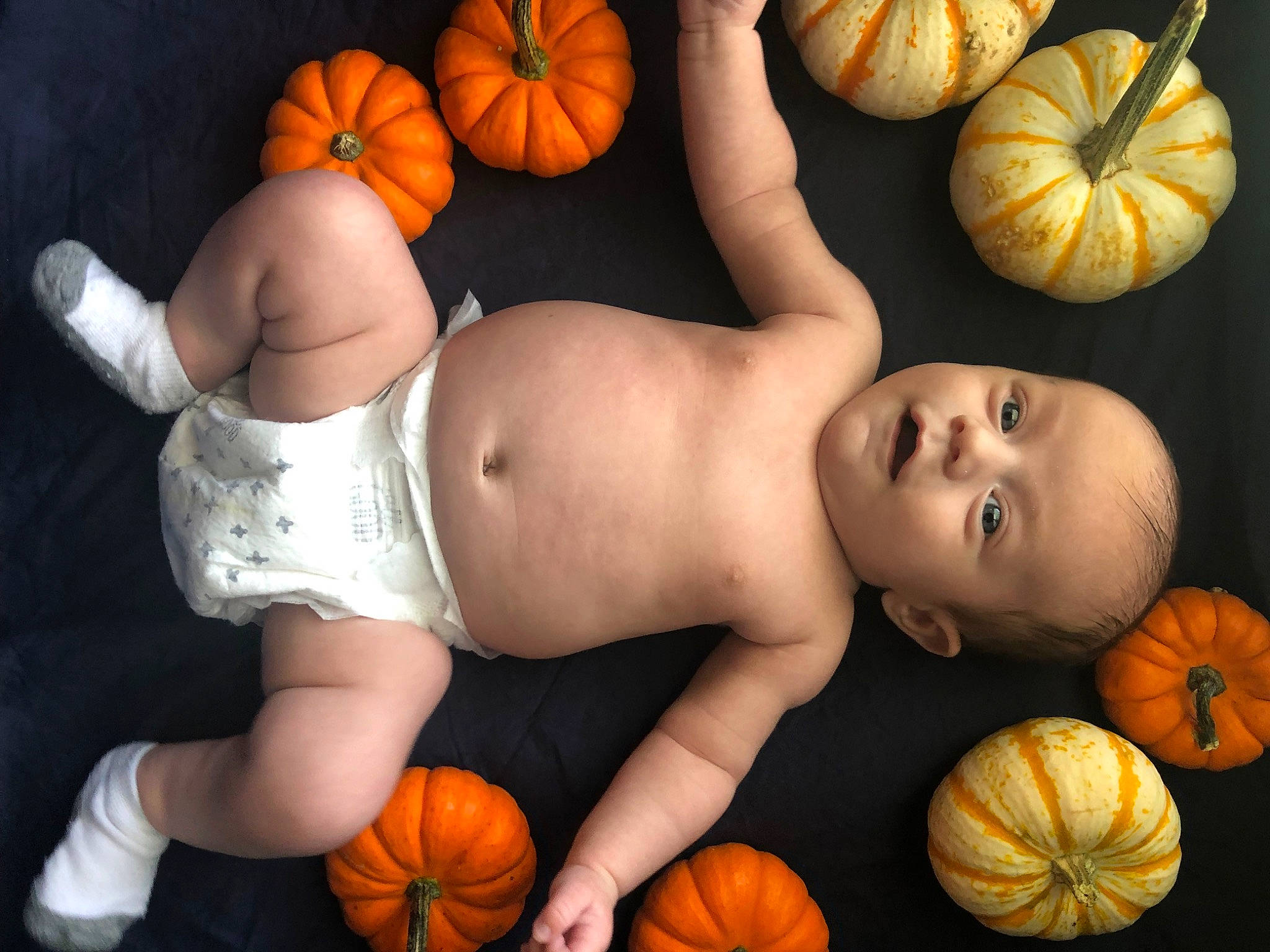 Mason joined the competition — help win amazing prizes! art, baby, black, calabaza, chest, cucurbita, gourd, human_body, leaf, lighting, local_food, natural_foods, orange, organ, person, plant, pumpkin, squash, vegetable, winter_squash