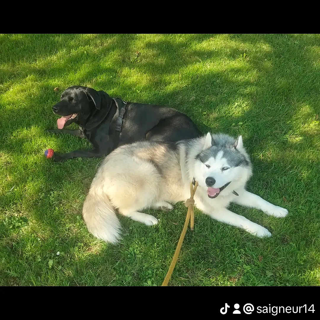 Narco Et Kenzo