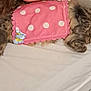 Catoune participe au concours pour gagner de l'argent avec cette photo : animal, bed, blanket, canine, cat, clothing, couch, crib, cushion, dog, drawer, furniture, glove, homedecor, indoors, infantbed, kitten, person, pet, sleeping