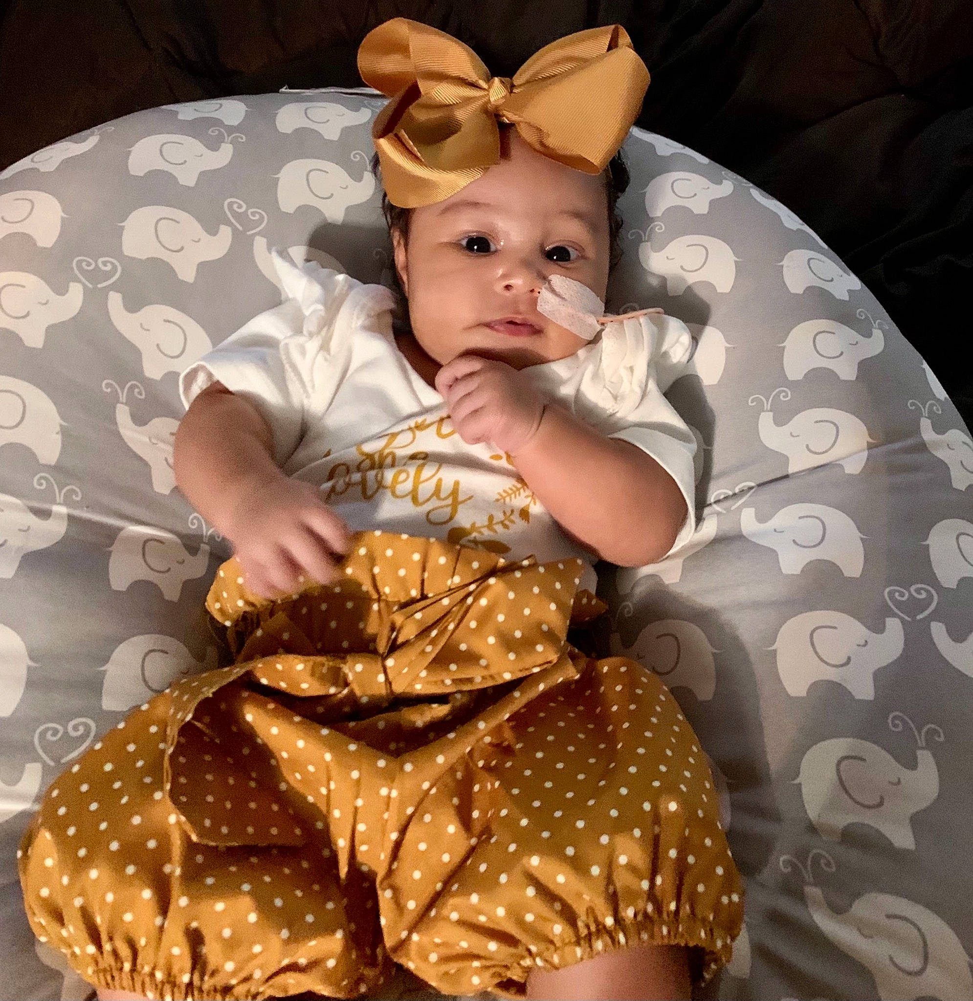 Alaina joined the competition — help win amazing prizes! baby, baby_toddler_clothing, child, comfort, day_dress, dress, fashion_design, fawn, head, headgear, headpiece, headwear, human_leg, linens, mammal, pattern, person, skin, sleeve, textile
