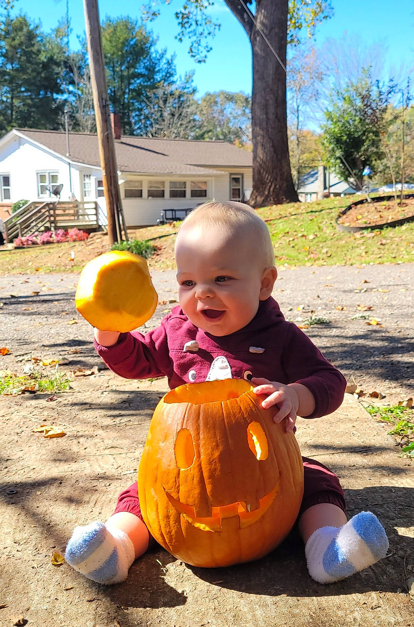 Xander is registered to the contest to win money with this photo: baby, calabaza, cucurbita, fun, gourd, grass, happy, leaf, leg, leisure, orange, person, plant, pumpkin, recreation, sky, squash, toddler, tree, vegetable