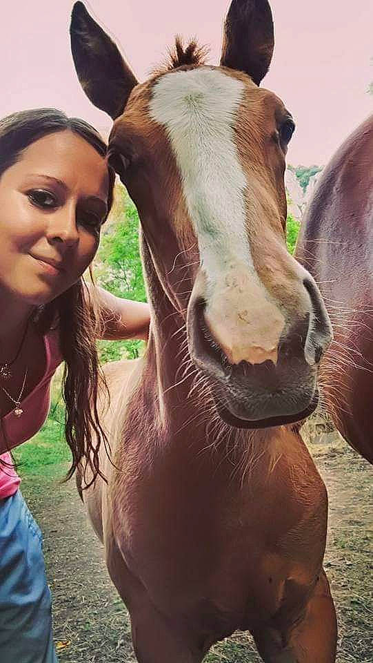 Gondor a rejoint le concours — aidez-le/la à gagner de superbes lots ! ear, fawn, happy, horse, livestock, mane, mare, nose, pack_animal, photography, selfie, smile, snout