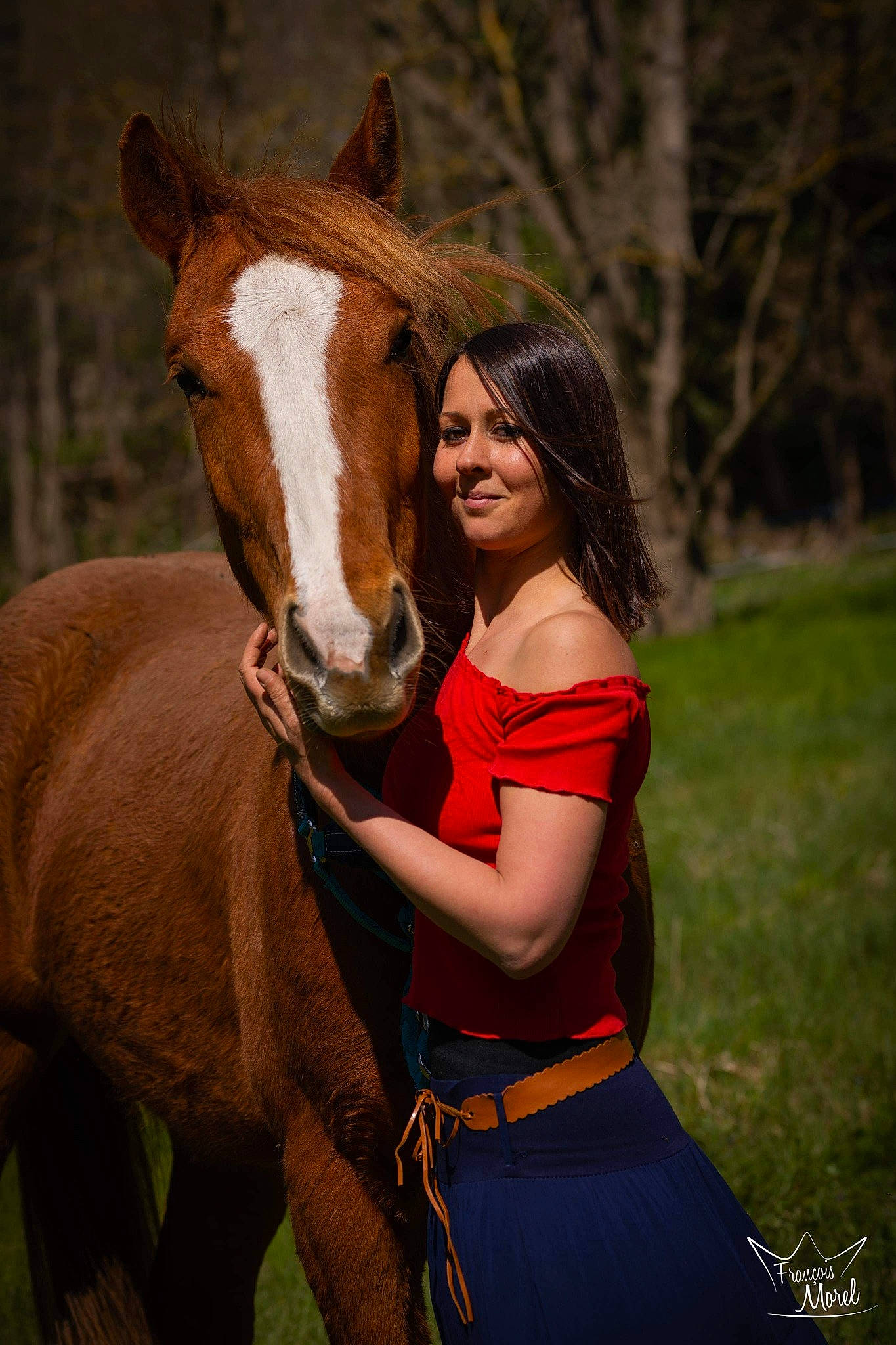 Gondor participe au concours pour gagner de l'argent avec cette photo : beauty, bridle, brown_hair, happy, horse, horse_supplies, horse_tack, horse_trainer, mammal, mane, mare, mustang_horse, organism, photography, recreation, riding_instructor, smile, stallion
