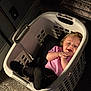 Lilith is registered to the contest to win money with this photo: toddler, child, laundry_basket, smiling, indoor, carpet, pink_shirt, black_pants, happy, baby, feet, hands, face, light, shadow, cozy, cute, playing, relaxed, home