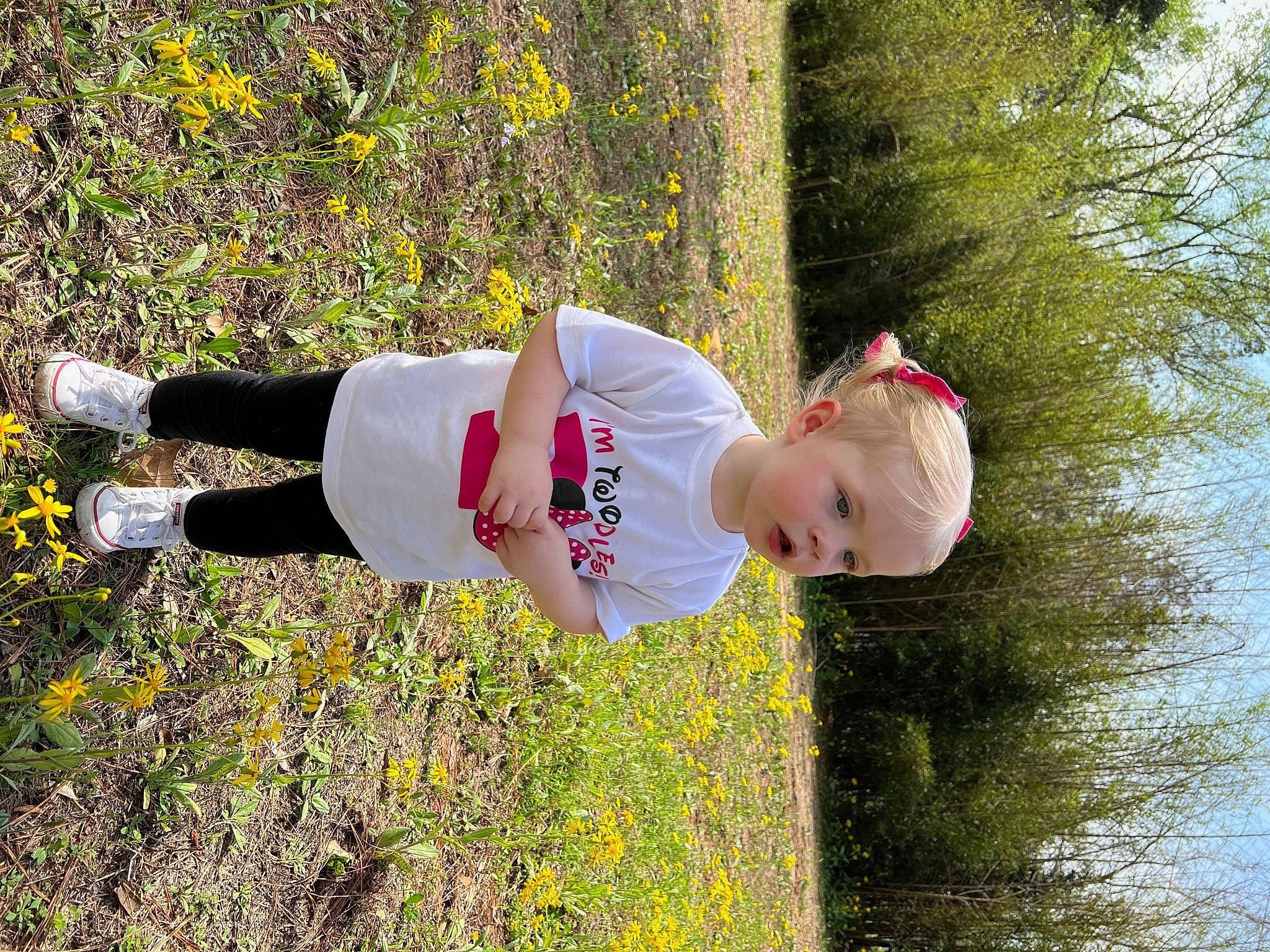 Sterling joined the competition — help win amazing prizes! child, flower, fun, grass, grass_family, happy, leisure, people_in_nature, person, plant, play, recreation, shrub, soil, t_shirt, toddler, tree, yellow