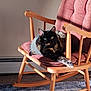 animal, carpet, cat, cozy, cushion, domestic_cat, fur, furniture, green_eyes, indoor, living_room, pet, quiet, relaxed, resting, rocking_chair, shadow, sunlight, tortoiseshell_cat, wooden_chair