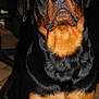 Keiros participe au concours pour gagner de l'argent avec cette photo :