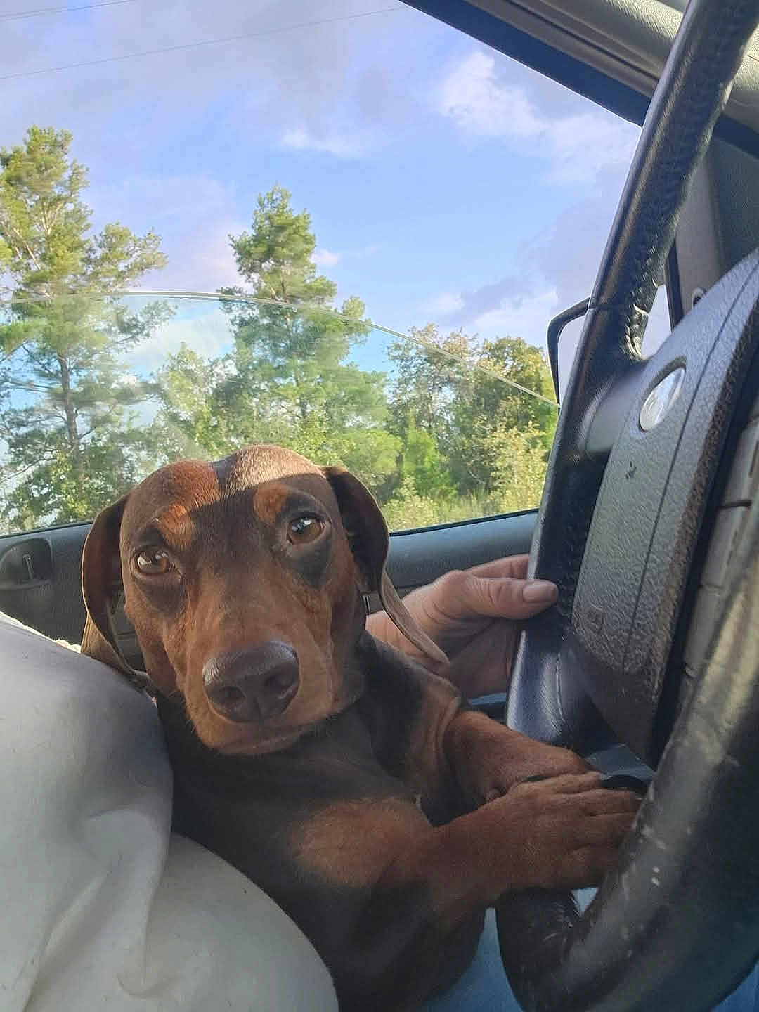 Charolette Mccormick