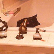 Princess joined the competition — help win amazing prizes!