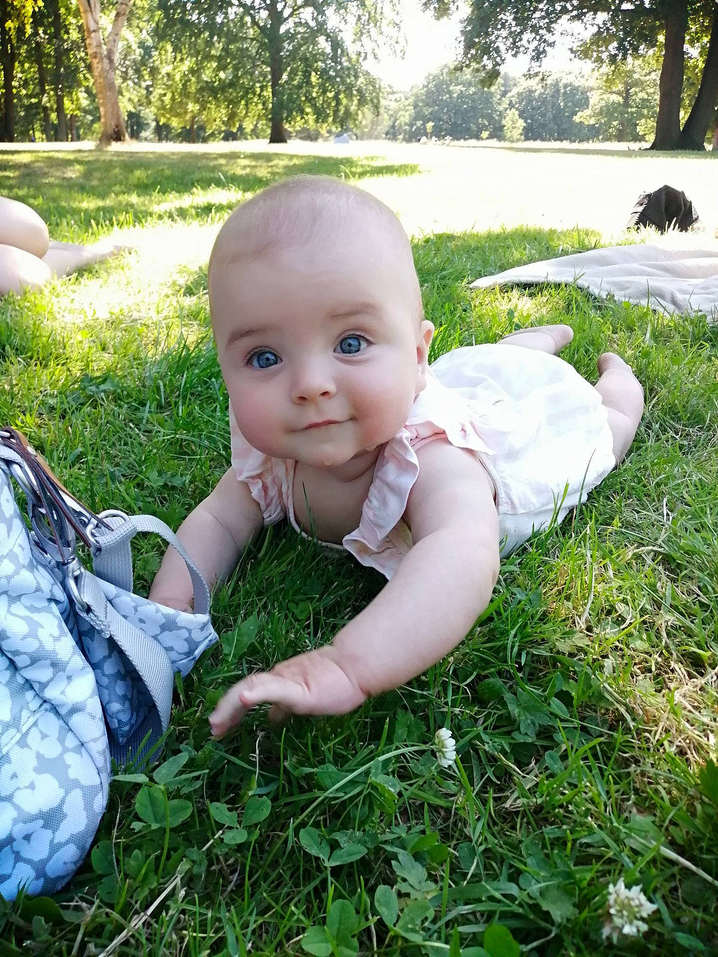 Ambre a rejoint le concours — aidez-le/la à gagner de superbes lots ! baby, baby_toddler_clothing, child, fun, garden, grass, grass_family, green, happy, lawn, lawn_ornament, leisure, luggage_and_bags, people_in_nature, person, plant, sitting, smile, toddler, toy