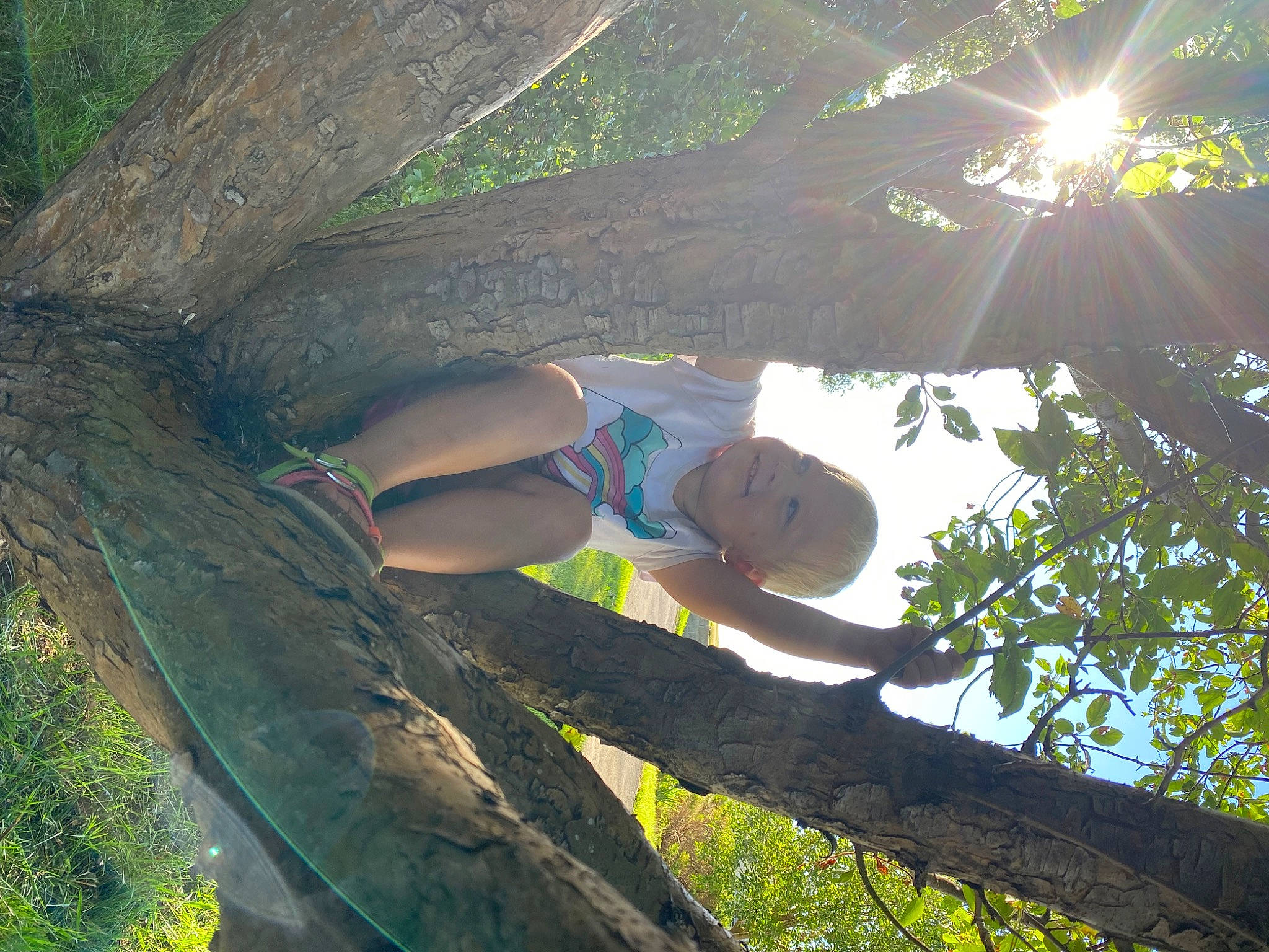 Bexley is registered to the contest to win money with this photo: branch, elbow, electric_blue, grass, happy, joy, leisure, lens_flare, light, people_in_nature, person, plant, shade, sky, smile, sunlight, thigh, tints_and_shades, tree, trunk