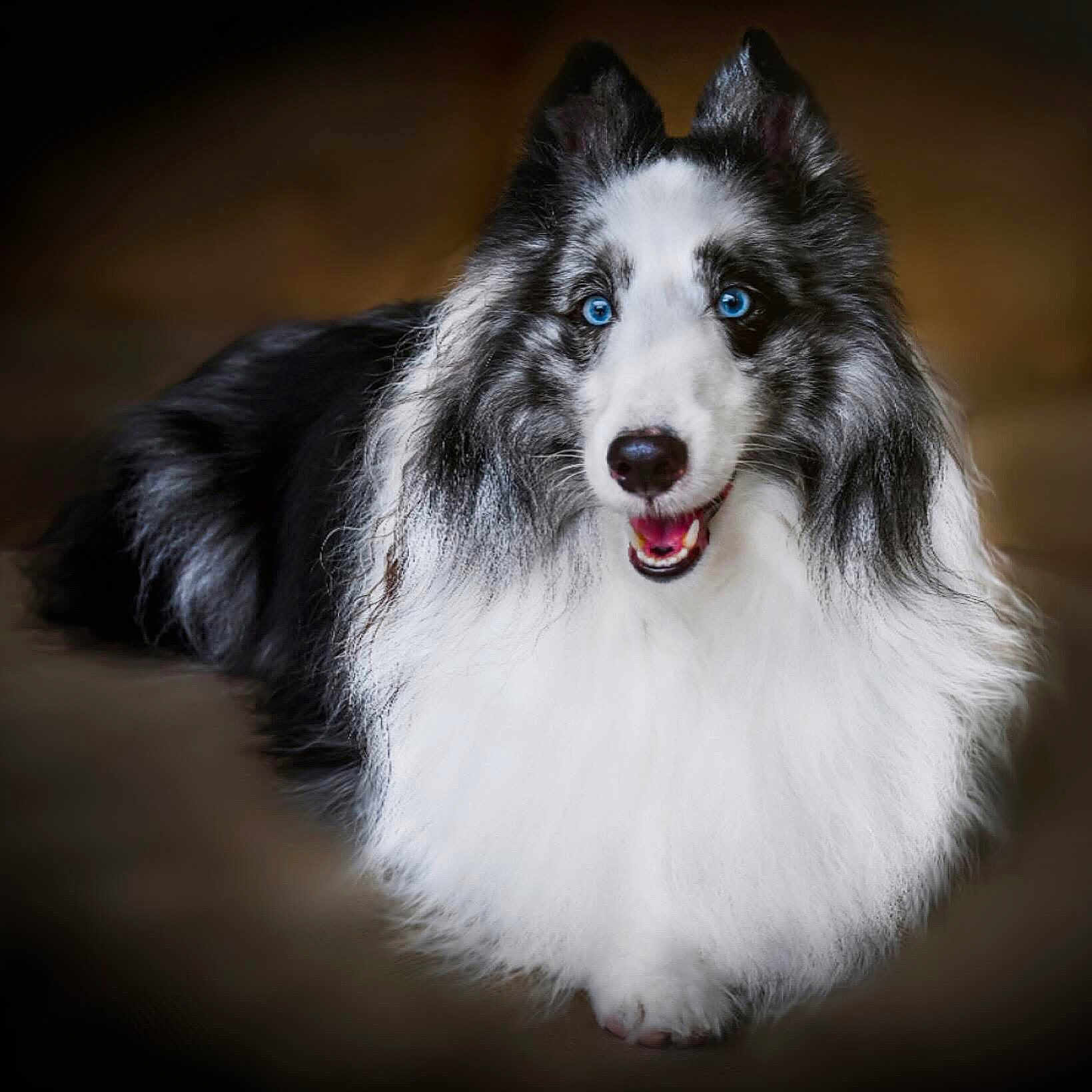 Deuce