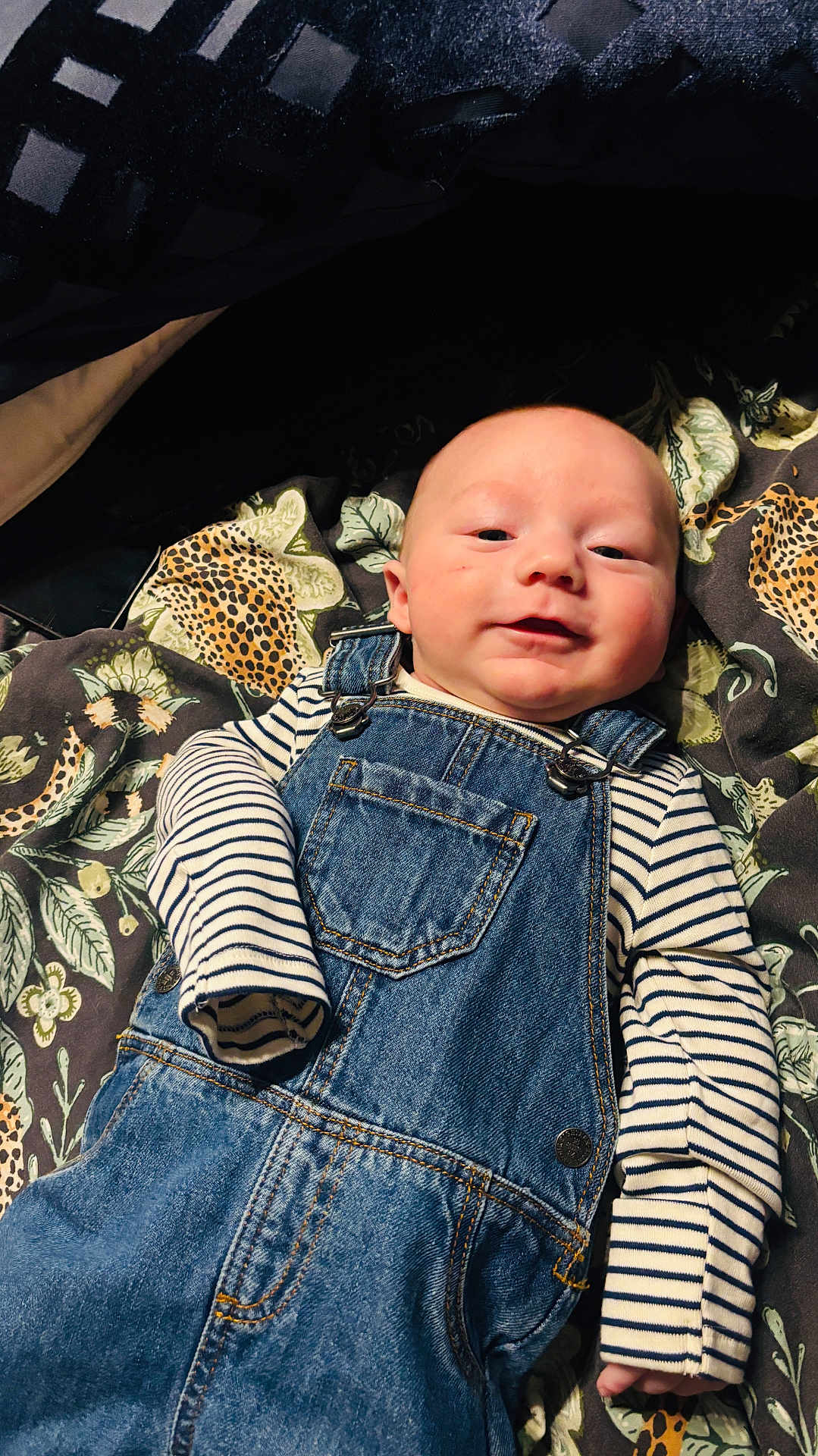 Teddy is registered to the contest to win money with this photo: baby, infant, denim_overalls, striped_shirt, smile, face, blanket, patterned_blanket, leopard_print, leaves, clothing, child, cute, portrait, lying_down, indoors, soft_light, happy, young_child, casual
