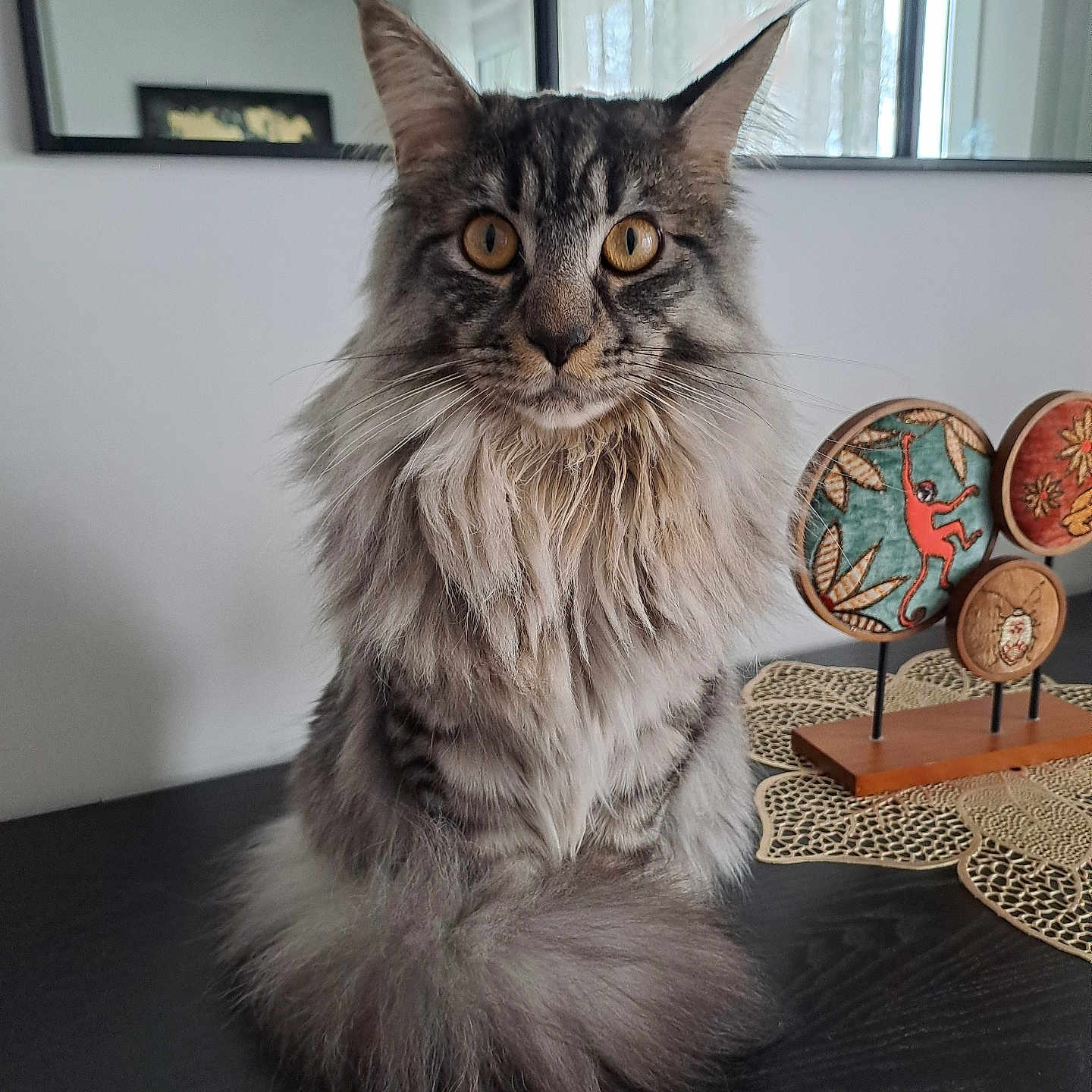 Usko participe au concours pour gagner de l'argent avec cette photo : angora, animal, architecture, art, building, cat, coin, furniture, hardwood, indoors, interiordesign, kitten, livingroom, manx, money, pet, plywood, sphere, table, wood