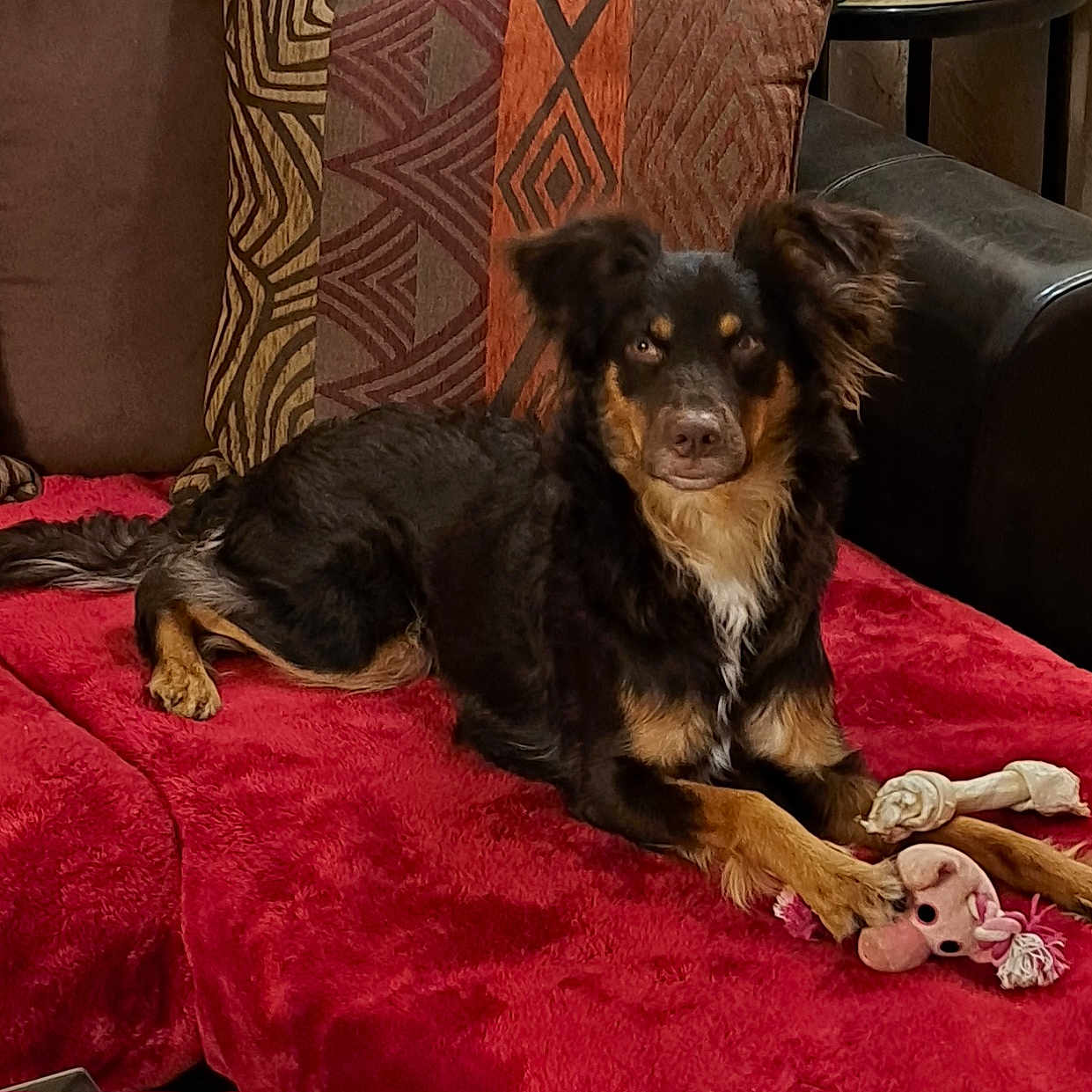 Xena