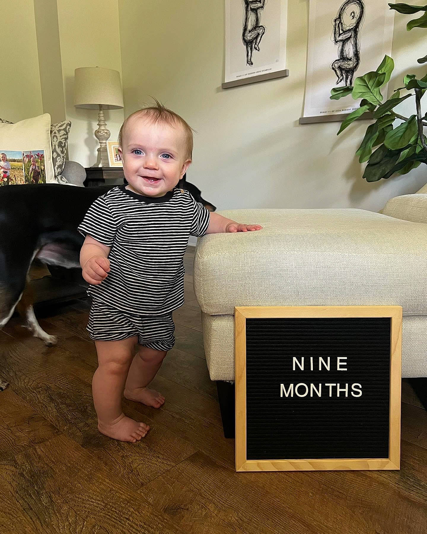 Jack joined the competition — help win amazing prizes! baby, baby_toddler_clothing, dog, floor, flooring, font, foot, happy, hardwood, human_leg, joy, person, plant, product, rectangle, room, sitting, sleeve, smile, t_shirt