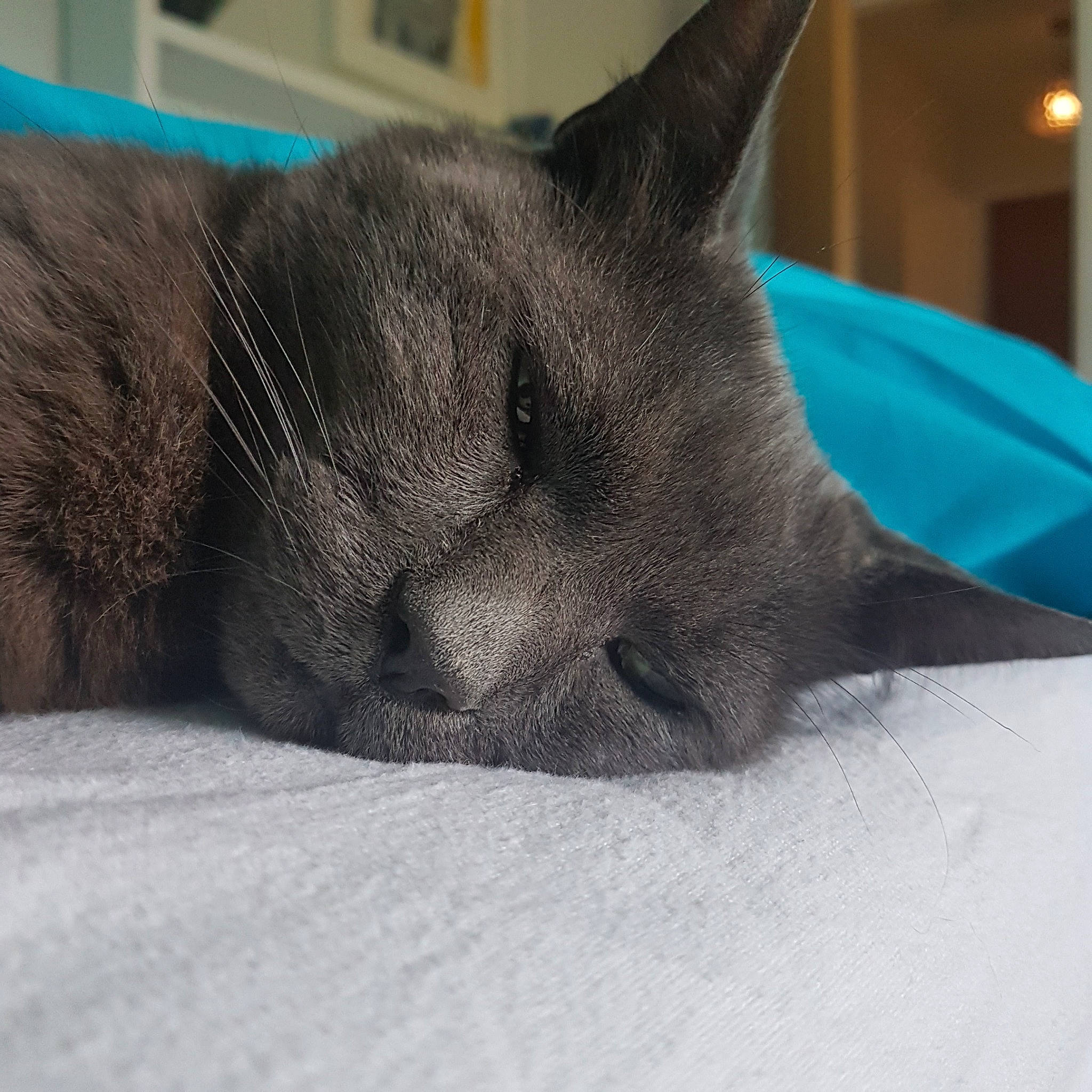 Woody joined the competition — help win amazing prizes!