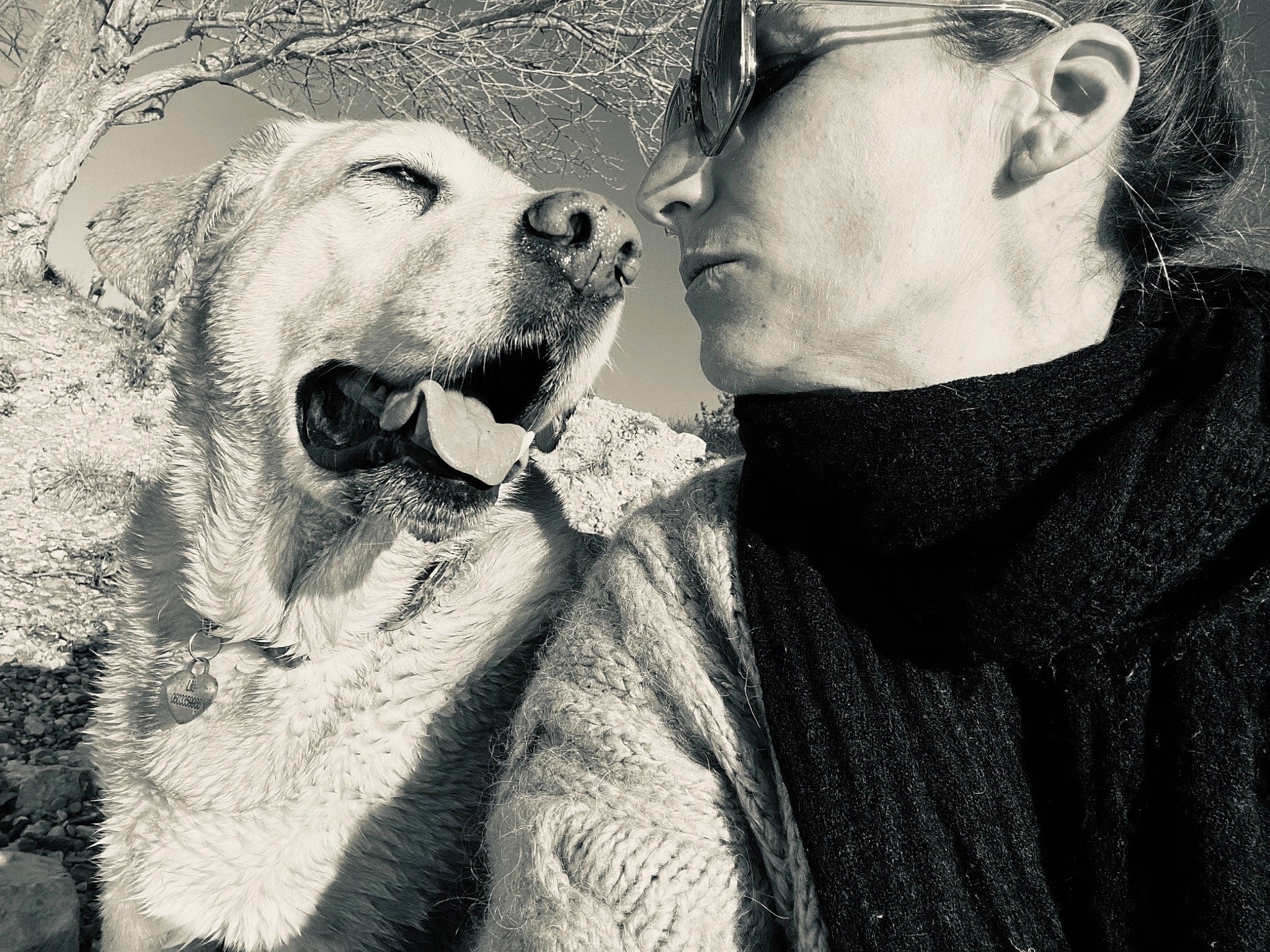 Lilù participe au concours pour gagner de l'argent avec cette photo : black_and_white, canidae, carnivore, companion_dog, dog, dog_breed, glasses, goggles, interaction, jaw, love, mammal, monochrome, monochrome_photography, retriever, snout, sporting_group, sunglasses, tongue, tooth