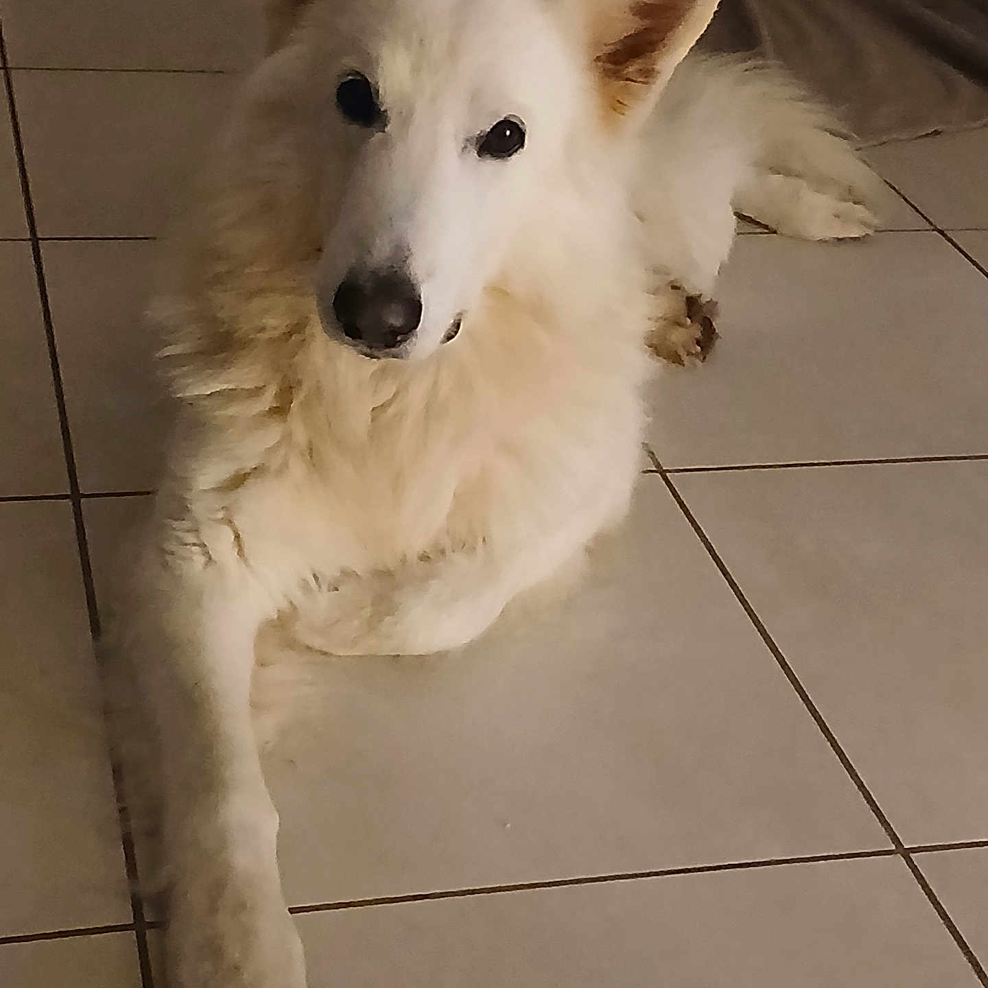 Mischka