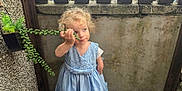 Autumn -Rose is registered to the contest to win money with this photo: blonde_hair, blue_dress, casual, child, concrete, curious, curly_hair, girl, greenery, nature, outdoor, person, plant, playful, portrait, stone, succulent_plant, texture, wall, young_child