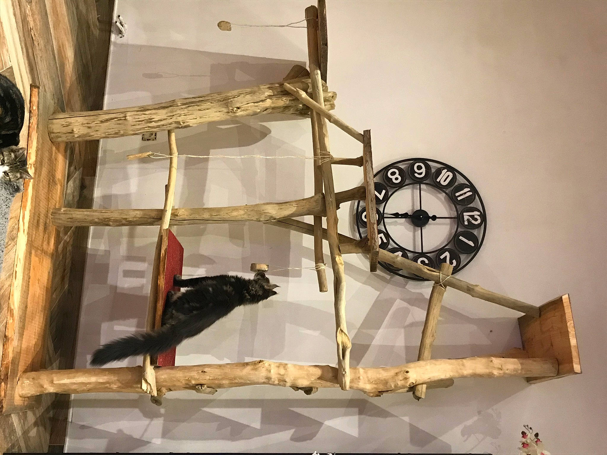 Idem participe au concours pour gagner de l'argent avec cette photo : clock, home_accessories, iron, measuring_instrument, metal, still_life_photography