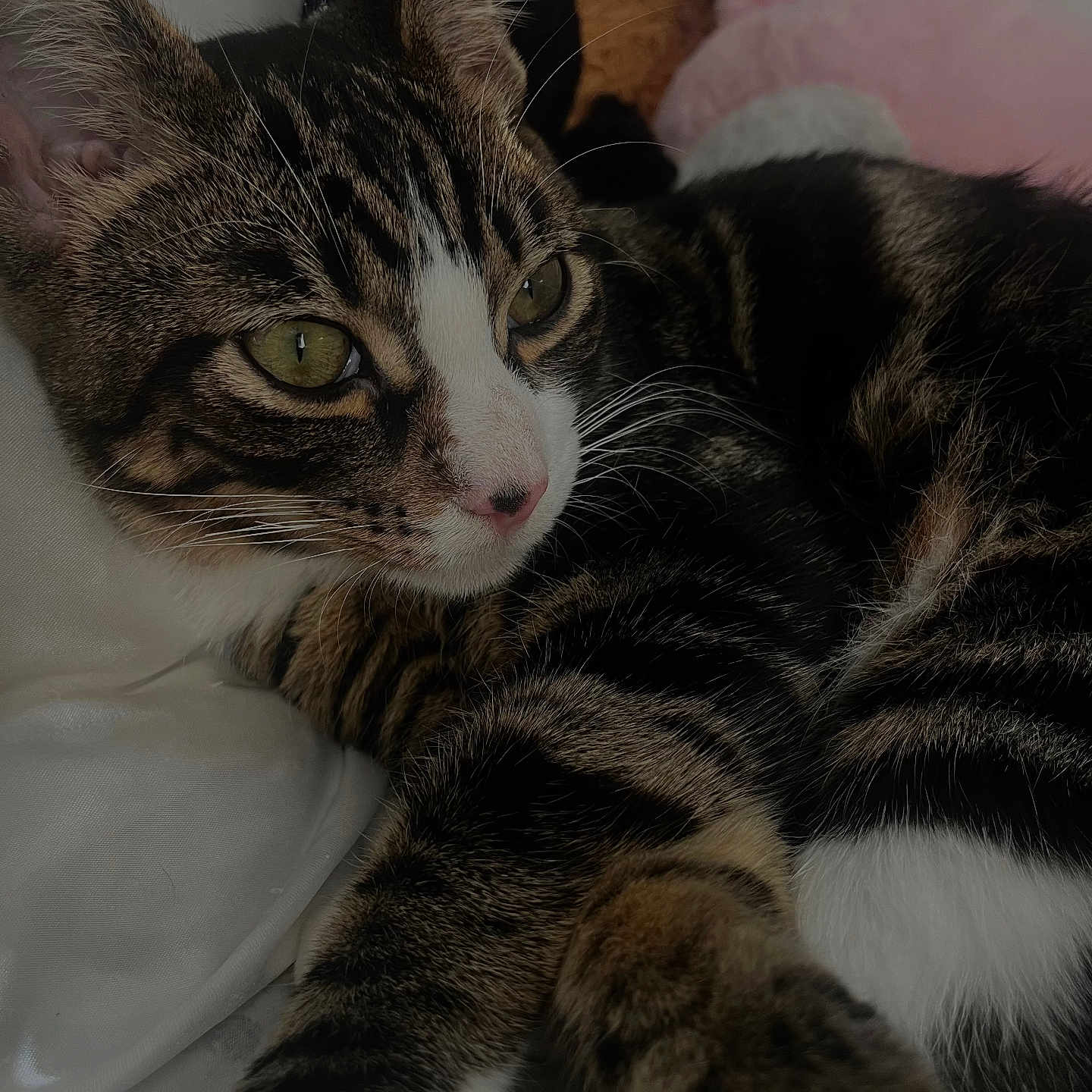 Bartholomew
