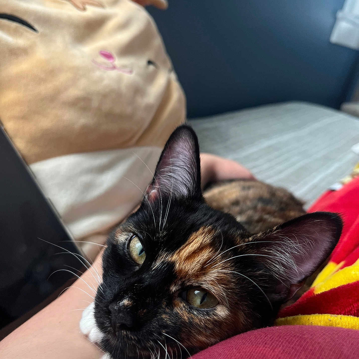Nora